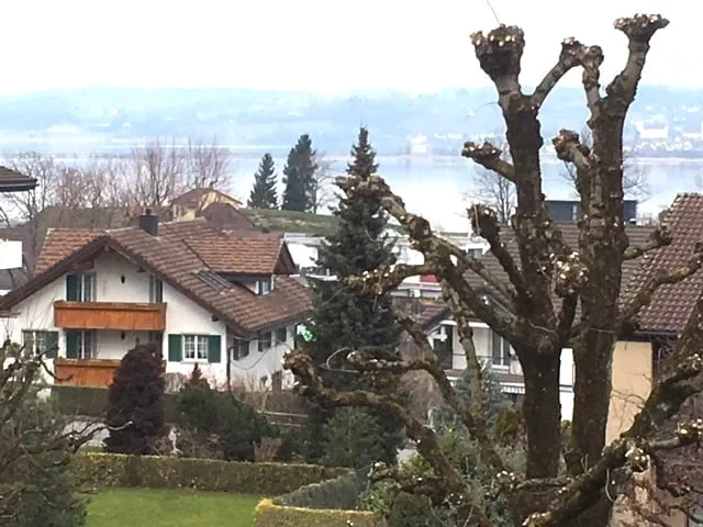 Appartement mansarde lumineux et calme de 3 pièces avec balcon, vue sur le lac inclus garage