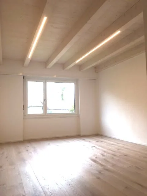 Appartement mansarde lumineux et calme de 3 pièces avec balcon, vue sur le lac inclus garage