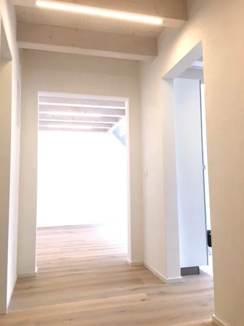 Appartement mansarde lumineux et calme de 3 pièces avec balcon, vue sur le lac inclus garage