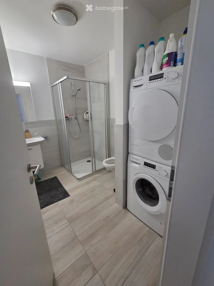 3.5 apartment in Giubiasco ideal for couples and families
