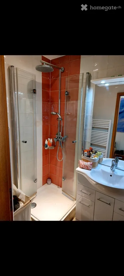 Appartamento 2.5 locali in affitto a Montreux