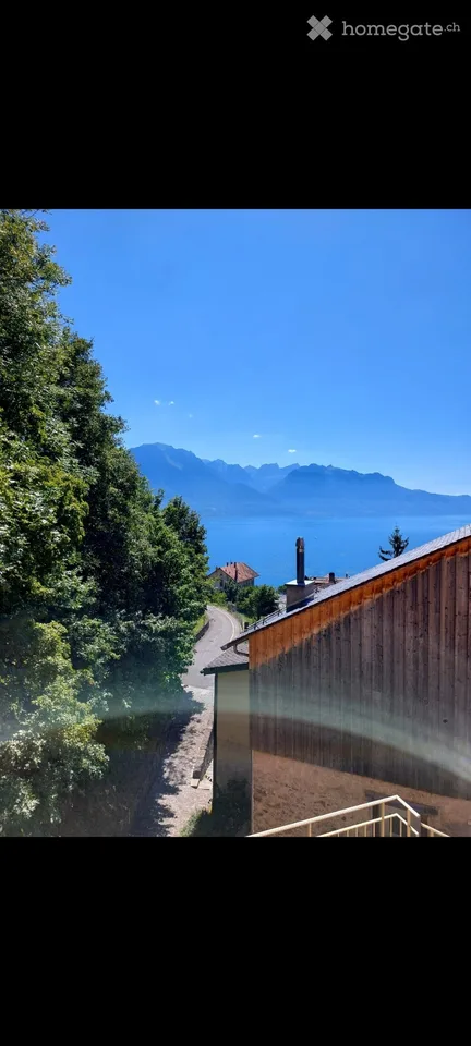 Appartamento 2.5 locali in affitto a Montreux