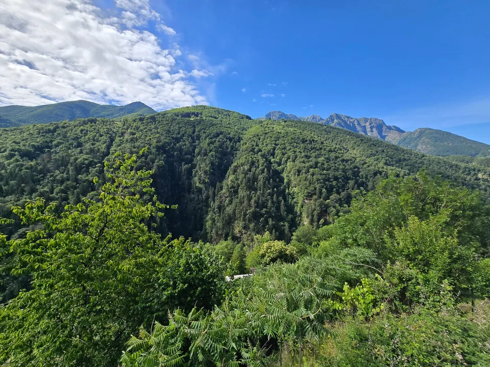Haus inmitten der Natur mit Grundstück mit herrlicher Aussicht