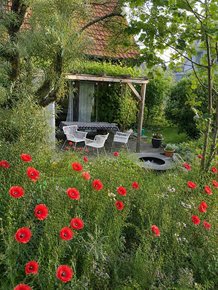Maison 6,5 pièces dans un environnement naturel à Obfelden