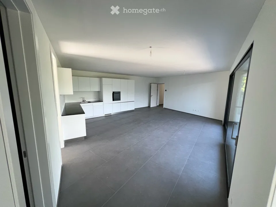 Exclusive 3.5-room apartment with breathtaking lake view in Brione sopra Minusio