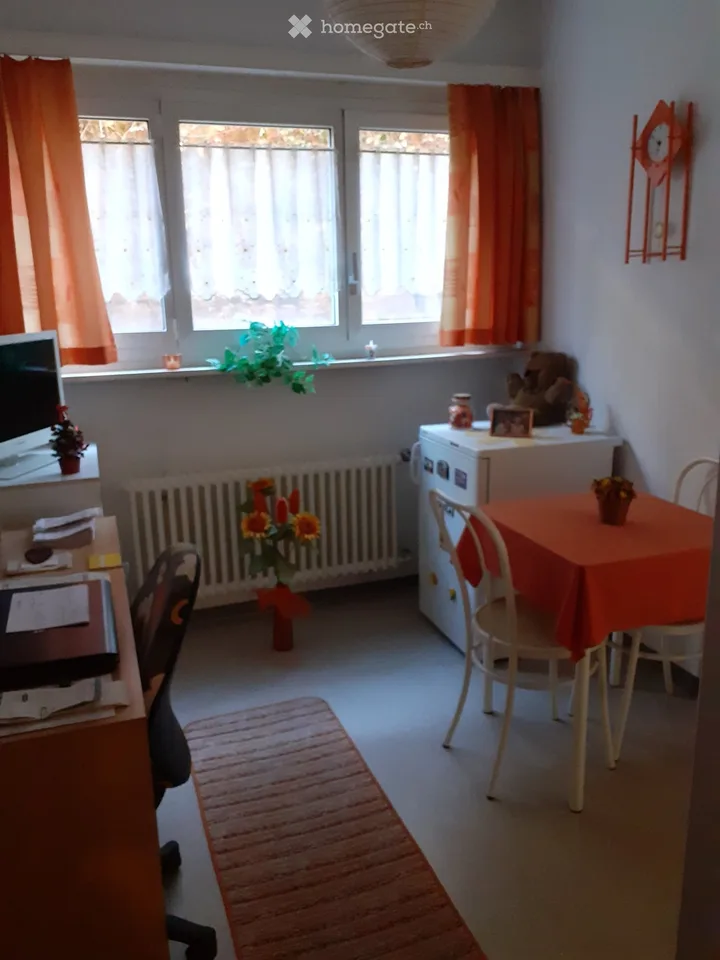 Schönes und helles 2.5-Zimmer-Apartment in Vezia