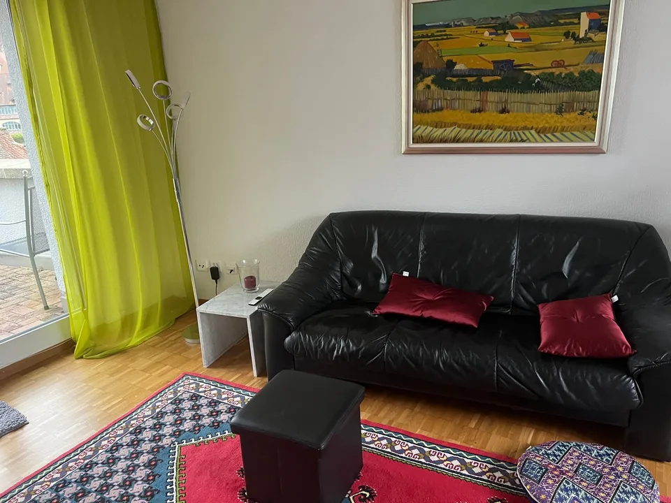 2½ ZIMMER-ATTIKAWOHNUNG IN BADEN (AG), MÖBLIERT, TEMPORÄR