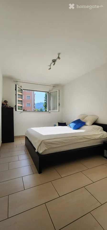 Charming 2.5-Room Apartment with Balcony in Viganello – Available Immediately