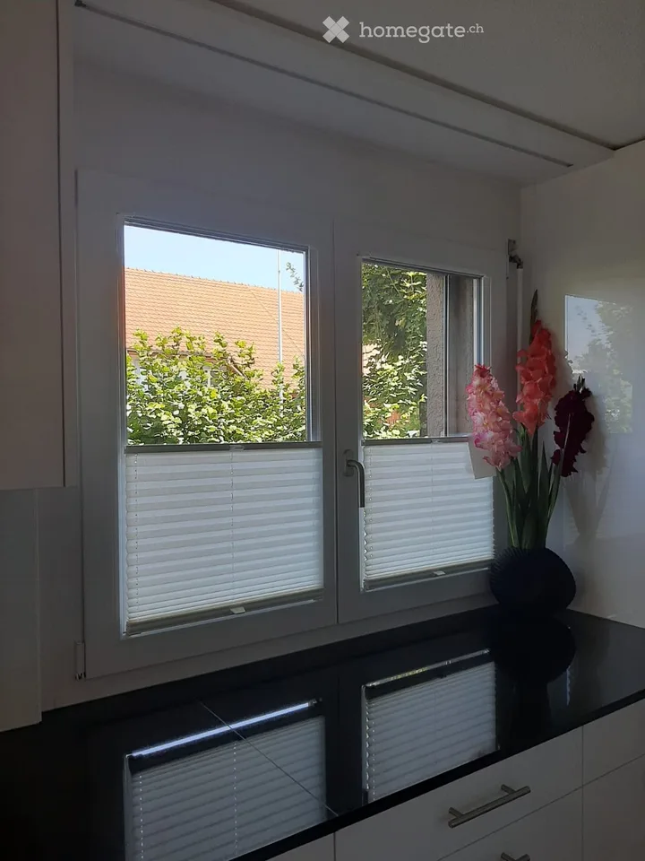 4.5 Zimmer Wohnung im Erdgeschoss