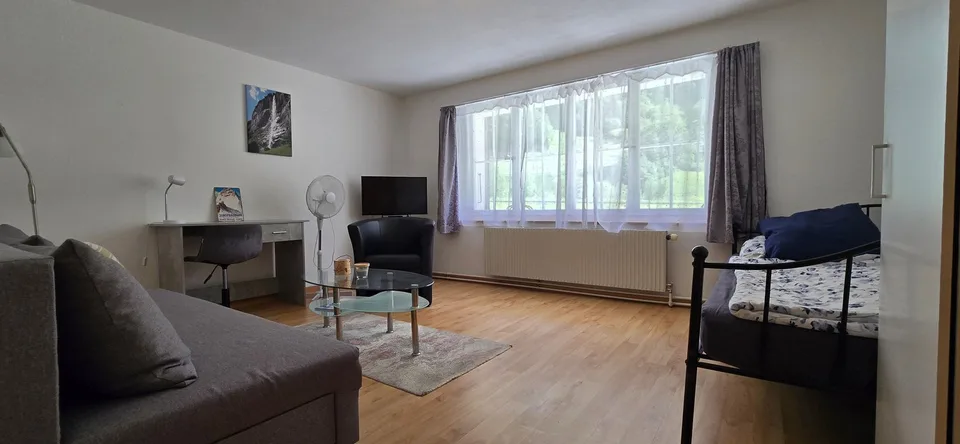 Investing where others dream - Your Airbnb jewel in the Bernese Oberland