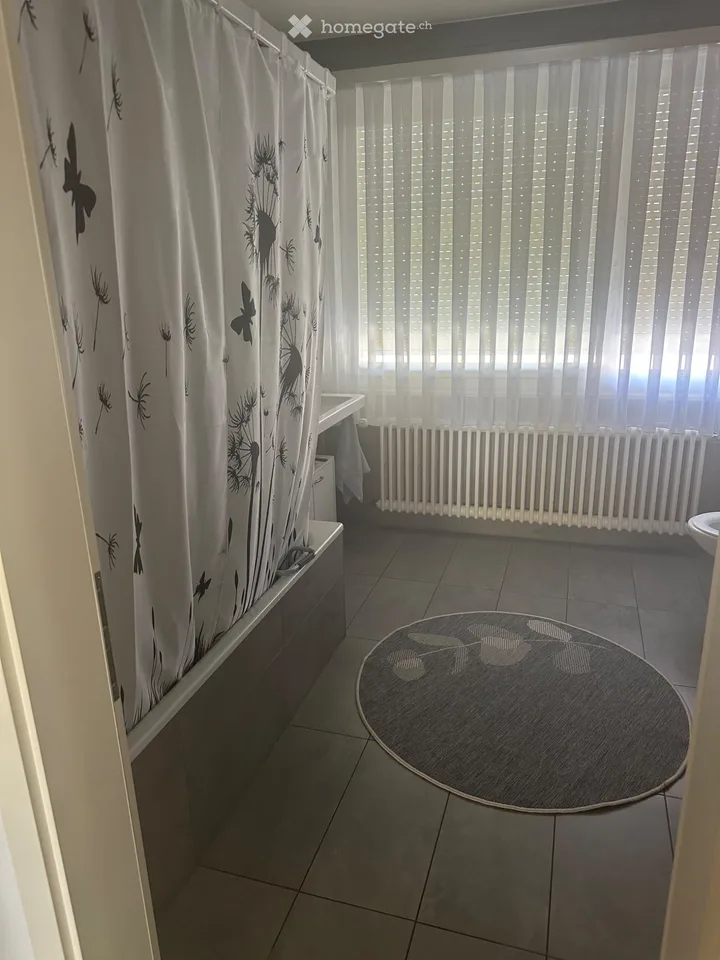 Beautiful spacious apartment 1020 Renens Switzerland