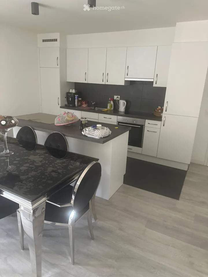 Beautiful spacious apartment 1020 Renens Switzerland