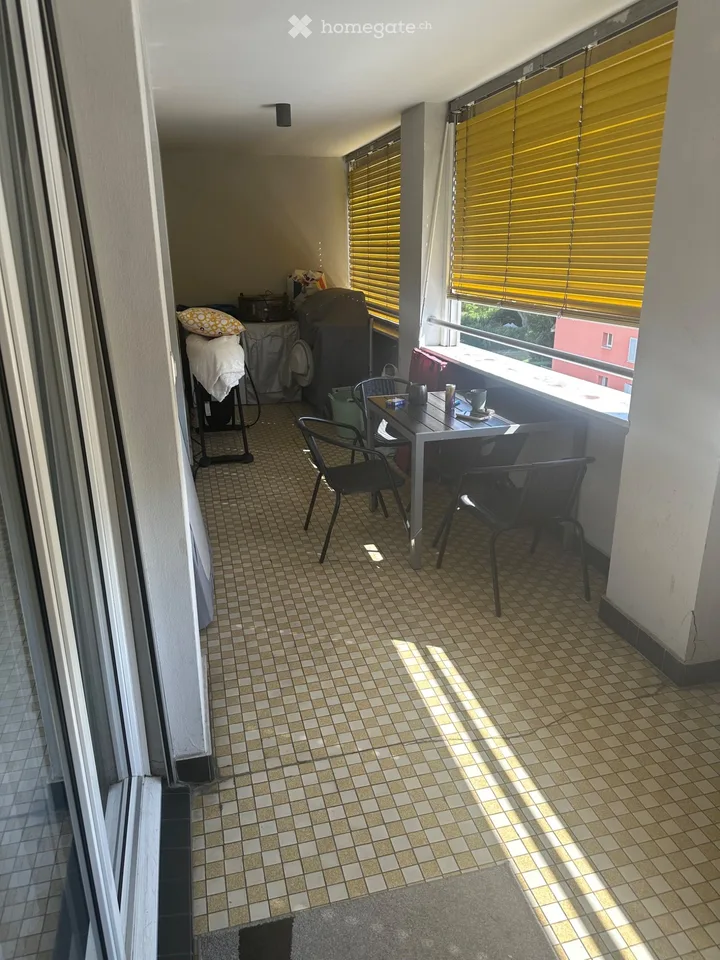 Beautiful spacious apartment 1020 Renens Switzerland