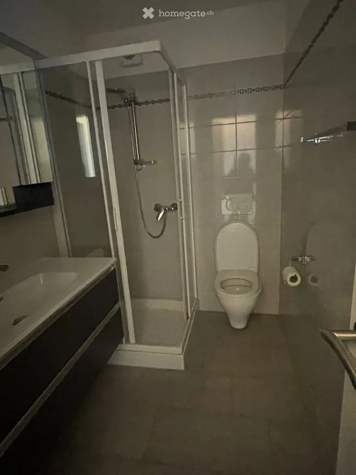 Ein-Zimmer-Wohnung im Zentrum von Lodrino