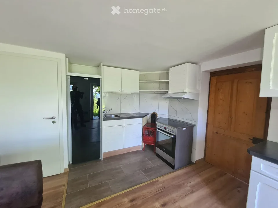 À LOUER  APPARTEMENT MEUBLÉ RÉNOVÉ  ALPES VAUDOISES
