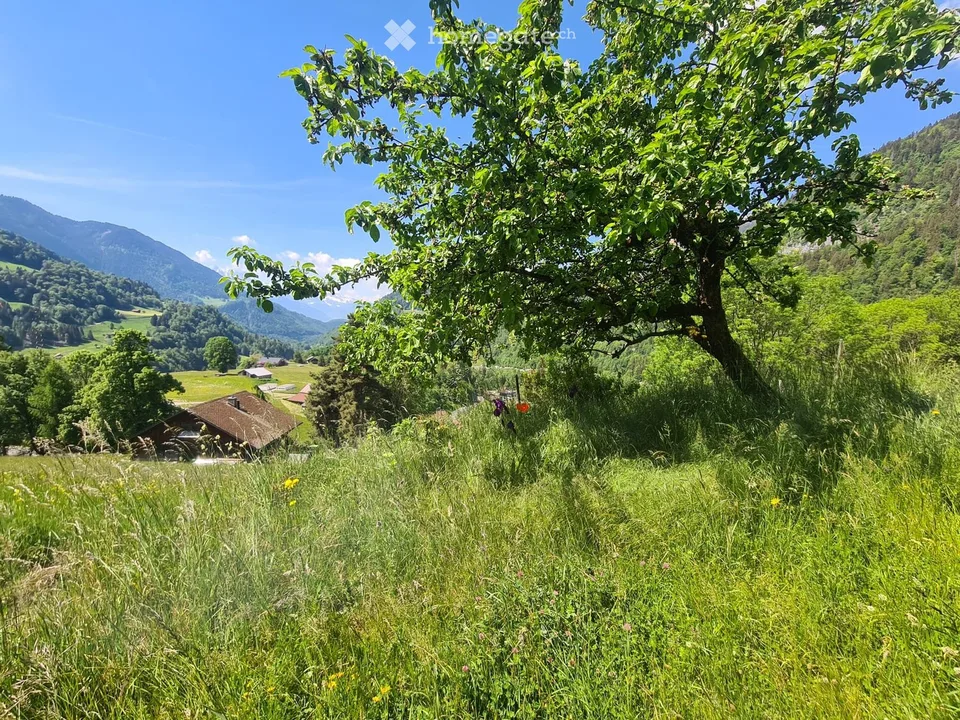 À LOUER  APPARTEMENT MEUBLÉ RÉNOVÉ  ALPES VAUDOISES
