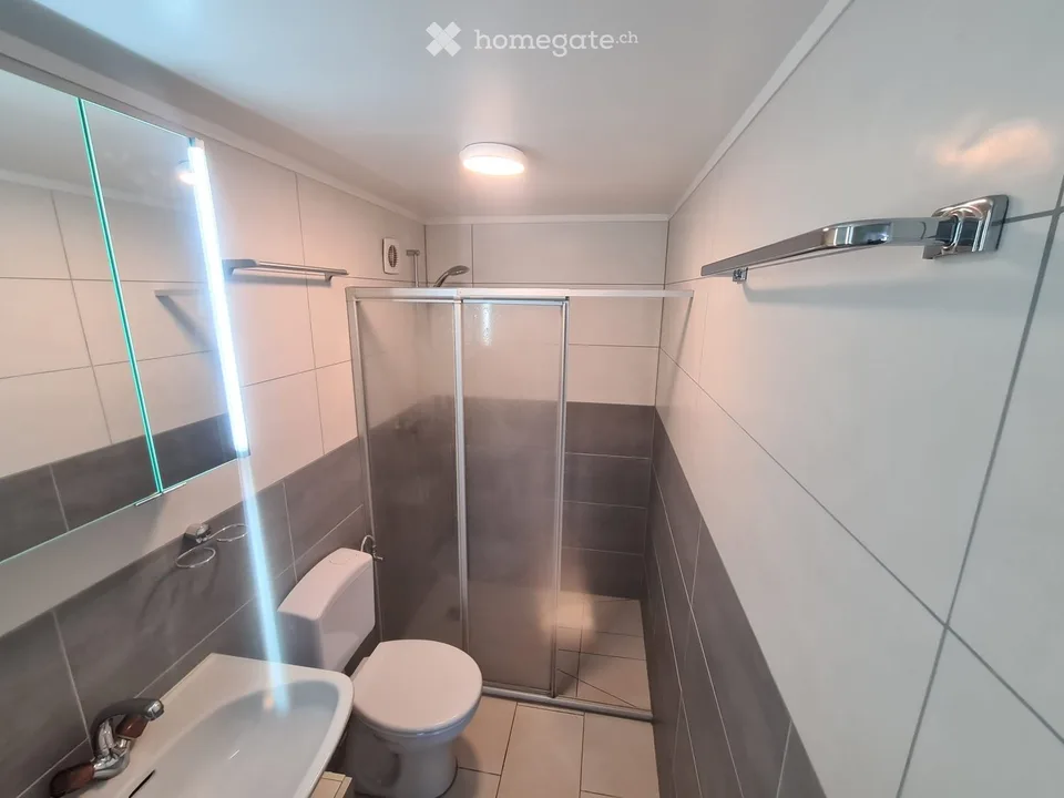 À LOUER  APPARTEMENT MEUBLÉ RÉNOVÉ  ALPES VAUDOISES