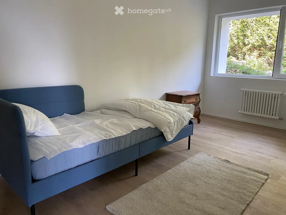 Magnificent 100m2 apartment in a fully renovated master villa