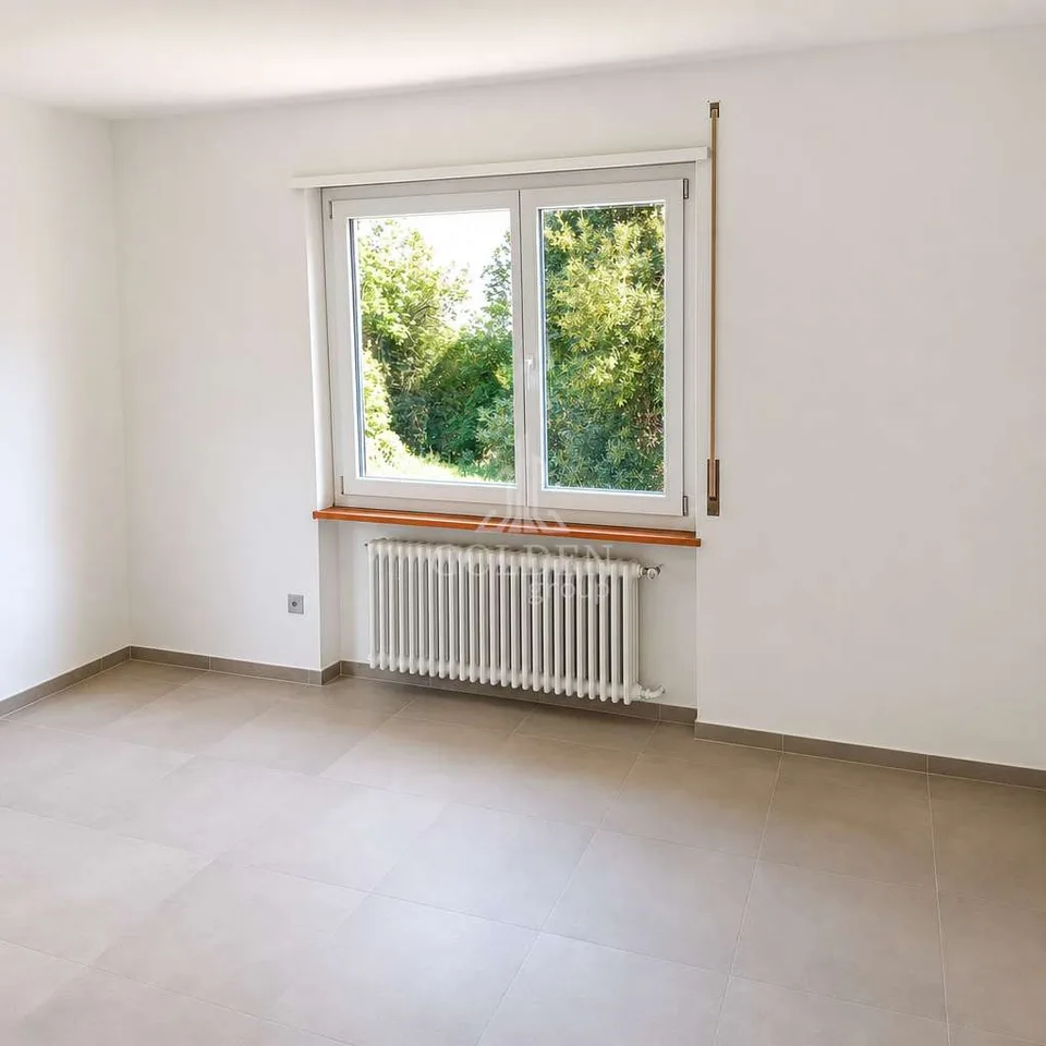 Ampio 4.5 locali ristrutturato con giardino privato a Tremona