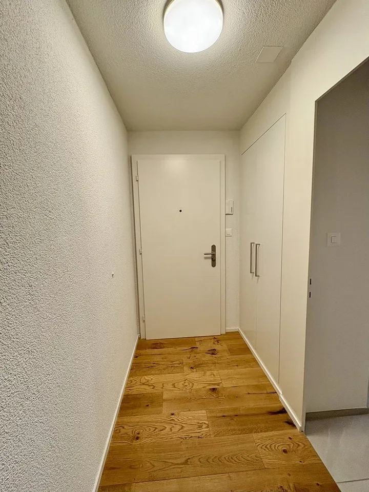 CHARMANTE 3.5 ZIMMER ATTIKAWOHNUNG ZU VERMIETEN