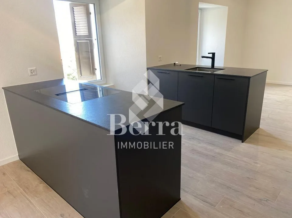 Duplex von 4,5 Zimmern + Grundstück von 405 m2