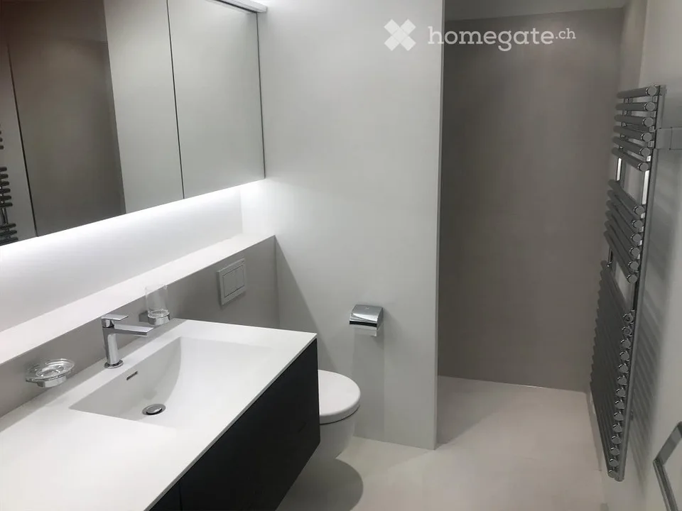 Moderne Dachwohnung mit ca. 182 m2 an gesuchter Wohnlage in Riehen/BS