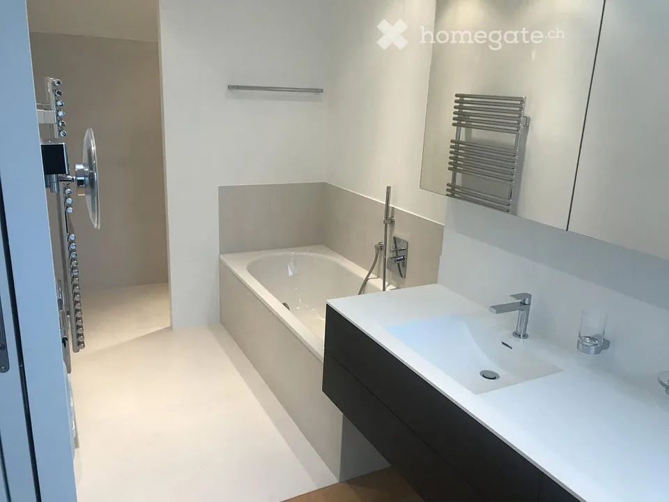 Moderne Dachwohnung mit ca. 182 m2 an gesuchter Wohnlage in Riehen/BS
