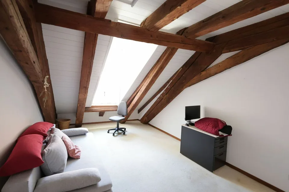 Ampio appartamento di 4 locali all'ultimo piano di un edificio storico