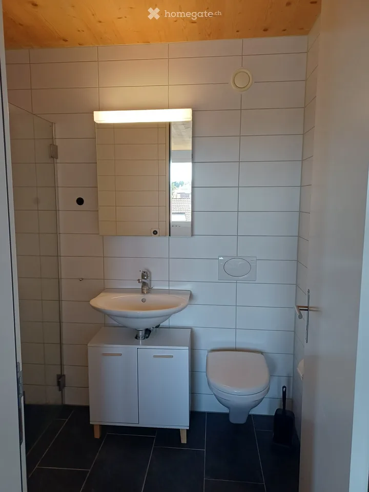 Appartement à Uster