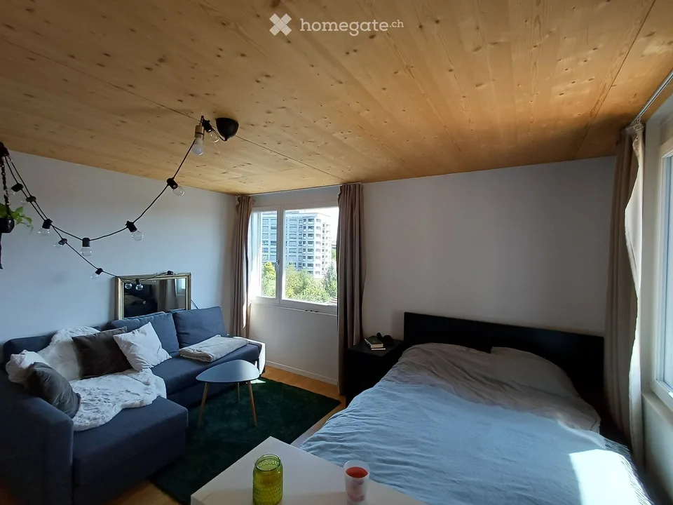 Appartement à Uster
