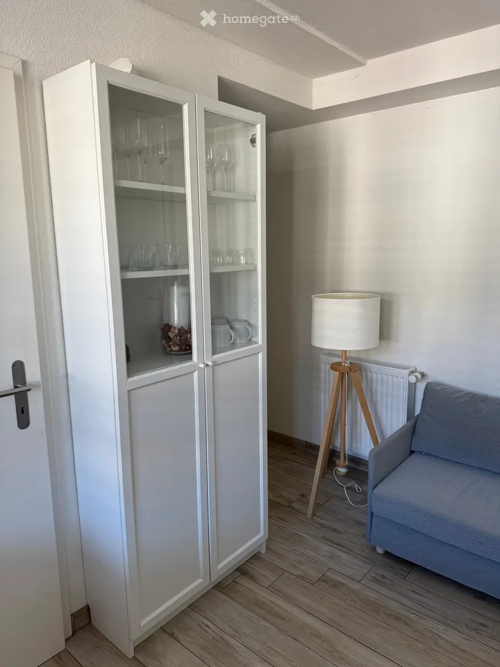 Zweizimmerwohnung auf Baselstrasse, Luzern