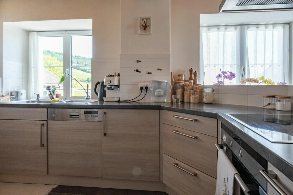 Dachwohnung mit Seeblick und Weinbergen