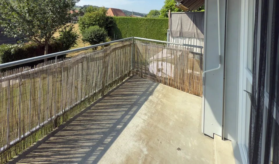 Cozy 2.5 room apartment with balcony