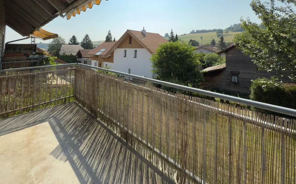 Cozy 2.5 room apartment with balcony