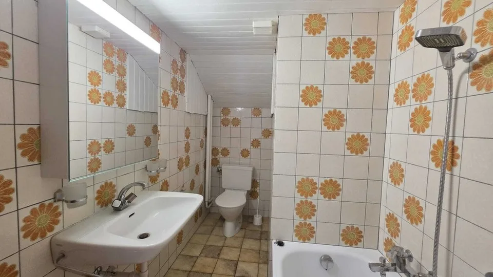 LOGEMENT LUMINEUX A LOUER