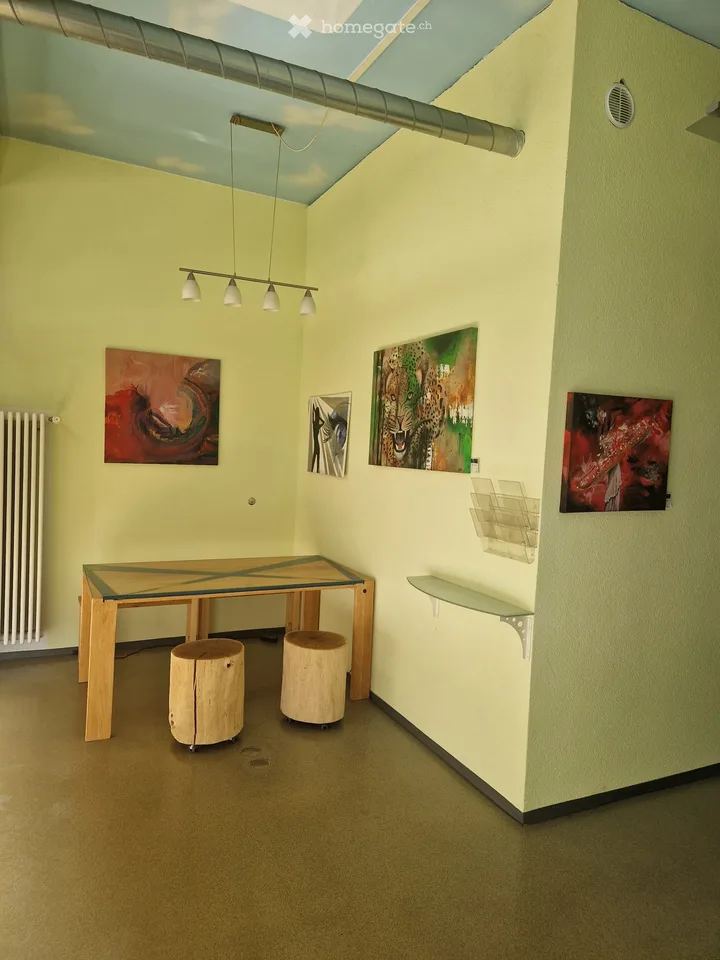 Ladenfläche / Studio / Salon / Gewerbe möbeliert (Parkplatz optional) ---> neuer Preis!