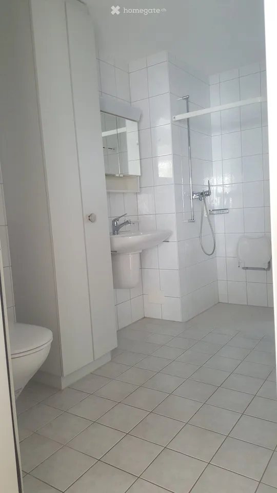 Bright 3.5-room apartment in Unterägeri
