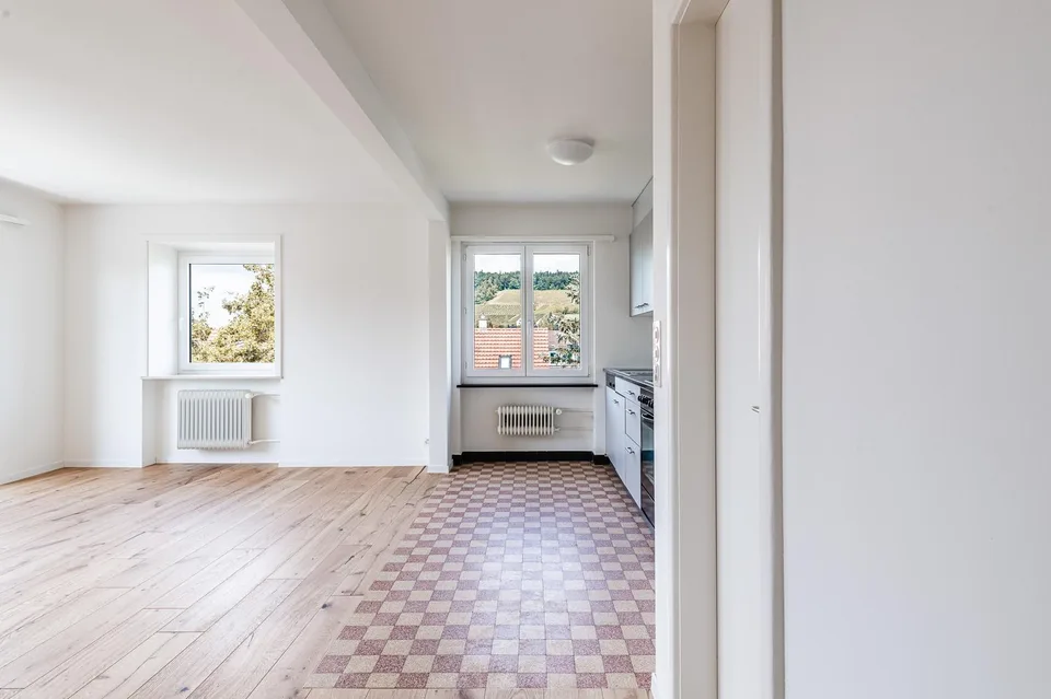 2.0 bedroom apartment in Winterthur