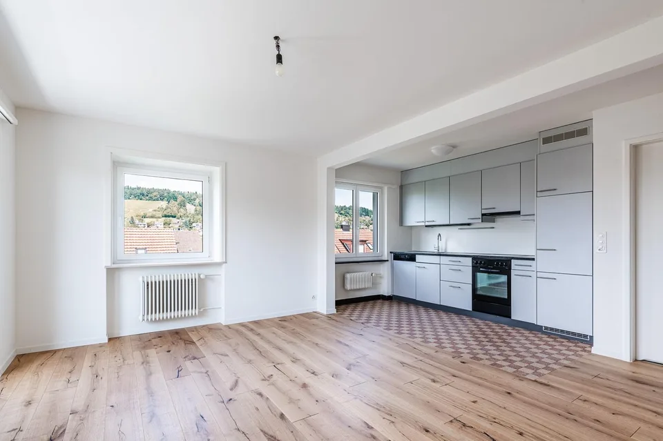 2.0 bedroom apartment in Winterthur