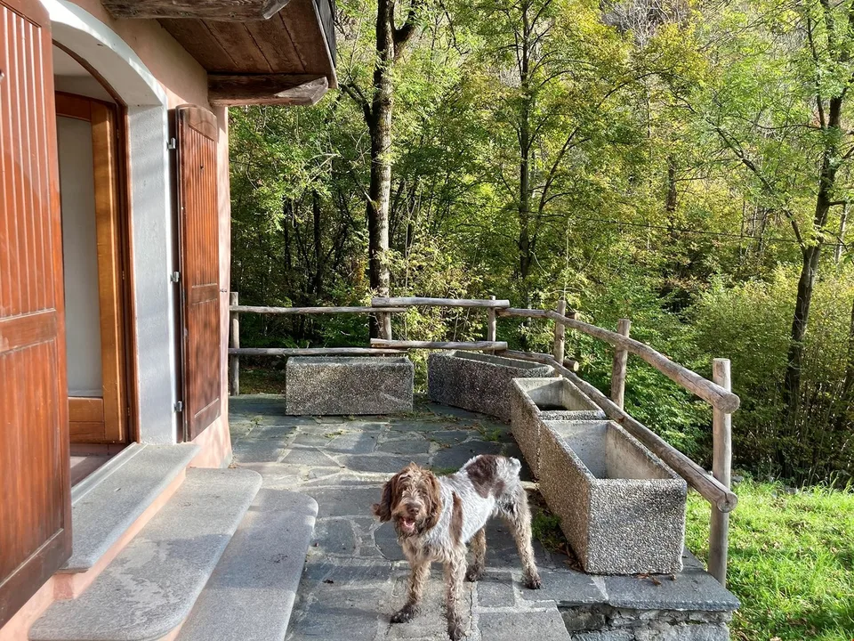 Tessin, Brione s/Minusio, Val Resa - Rustico rénové avec jardin