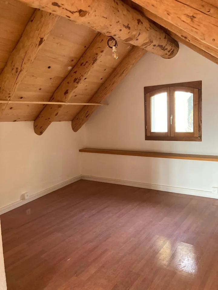 Brione s/Minusio, Val Resa - 2 Rustici mit Grundstück, renoviert