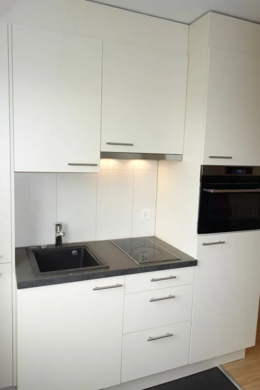 New Modern 1.5 Room Apartment in Lyss