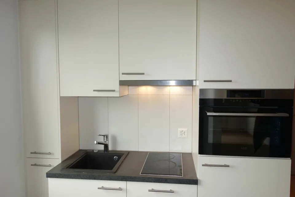 New Modern 1.5 Room Apartment in Lyss