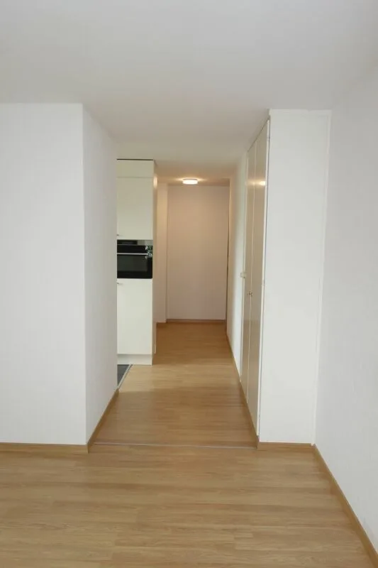 New Modern 1.5 Room Apartment in Lyss