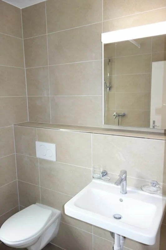 New Modern 1.5 Room Apartment in Lyss