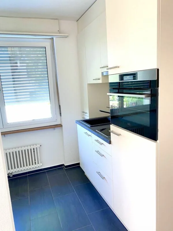 New Modern 1.5 Room Apartment in Lyss
