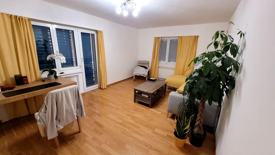 Bello appartamento di 3 locali in affitto ad Adliswil