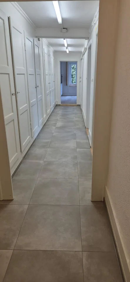 Magnificent 3.5-room apartment for rent