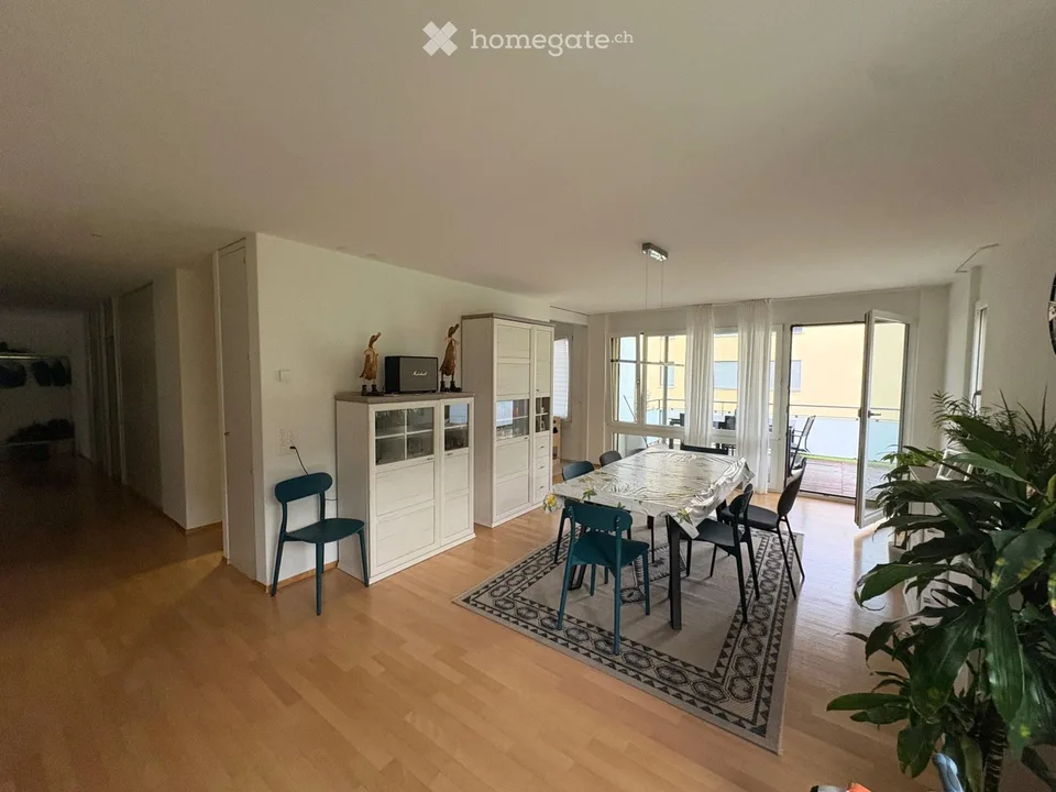 Helle 4.5-Zimmer-Wohnung mit traumhaftem Blick  Zürich 8041