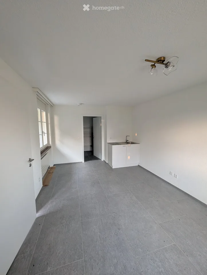 Modernes Studio mit Hobby- und Waschraum in Hochdorf